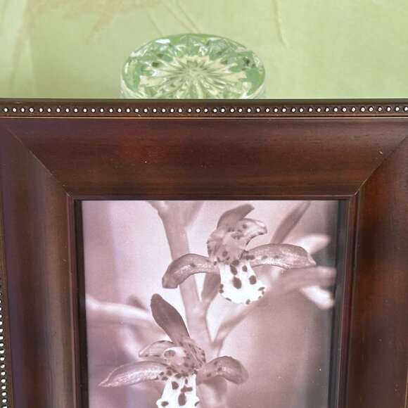 PRINZ WALNUT WOOD 4" X 6" PHOTO PICTURE FRAME:NIB MANDALAY SERIES - Picture 9 of 12